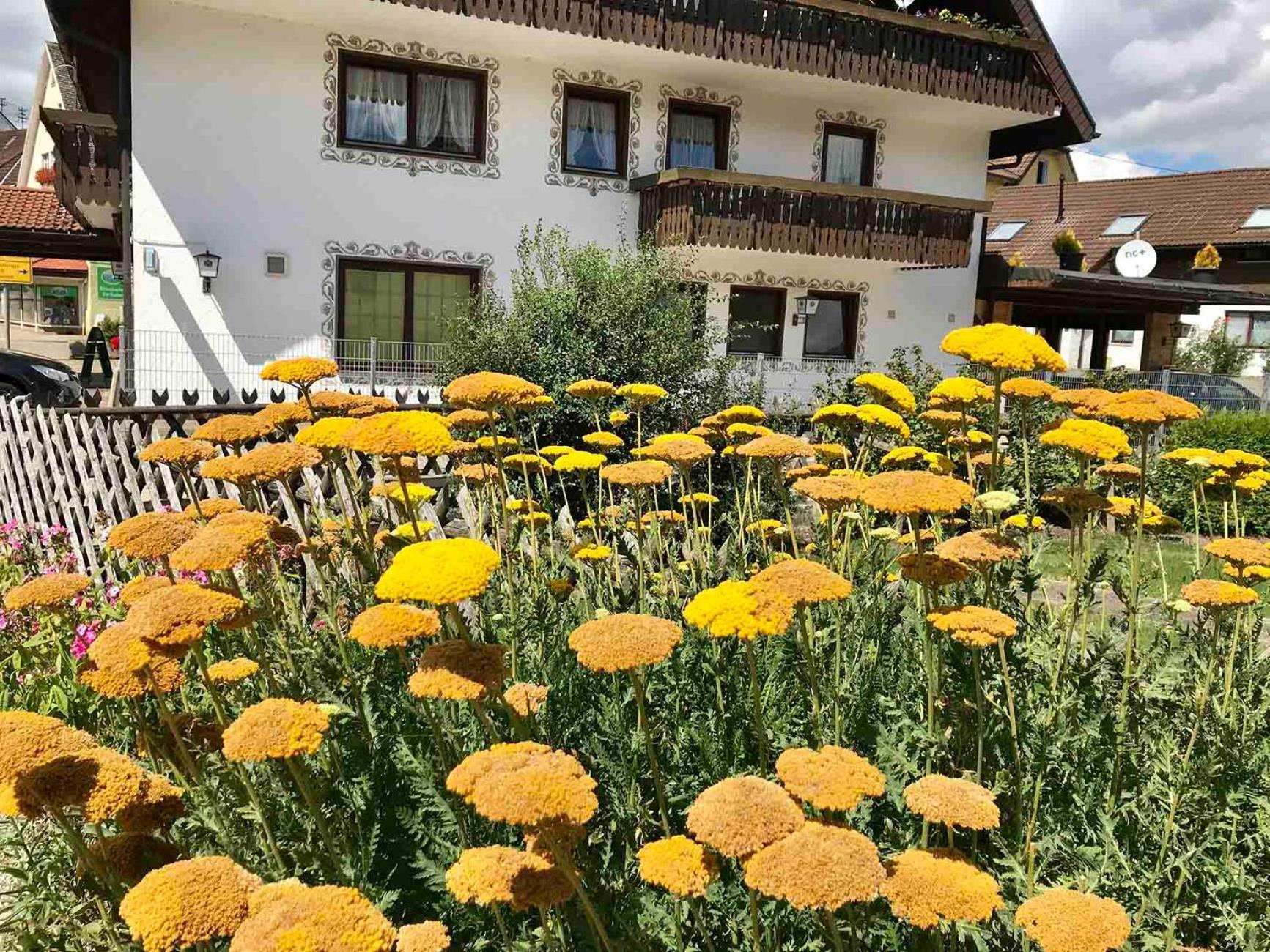 Gaestehaus Roessle Roetenbach  Exterior photo
